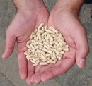 Holzpellets